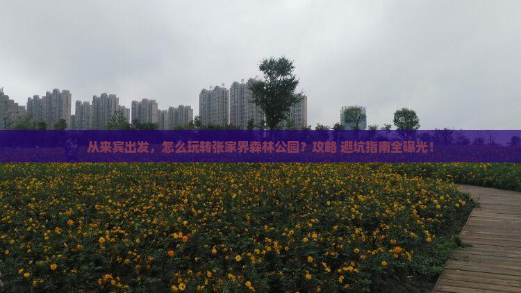 来宾到张家界森林公园景点