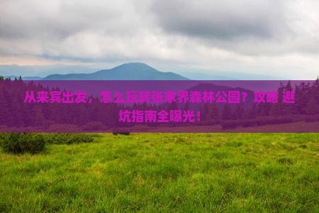 来宾到张家界森林公园景点