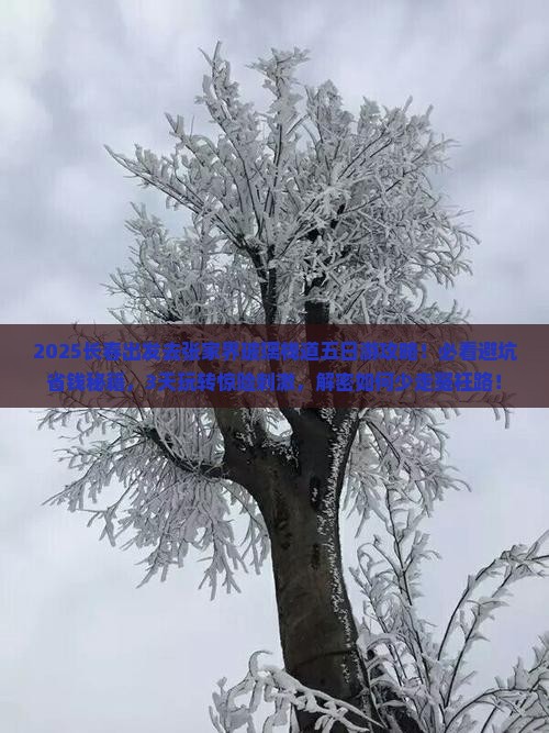 长春去张家界玻璃栈道五日游