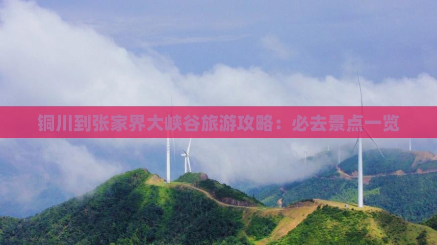 铜川到张家界大峡谷大型旅游团