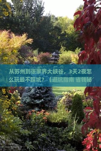 苏州去张家界大峡谷个人游