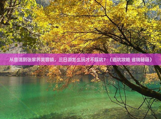 普洱到张家界芙蓉镇三日游