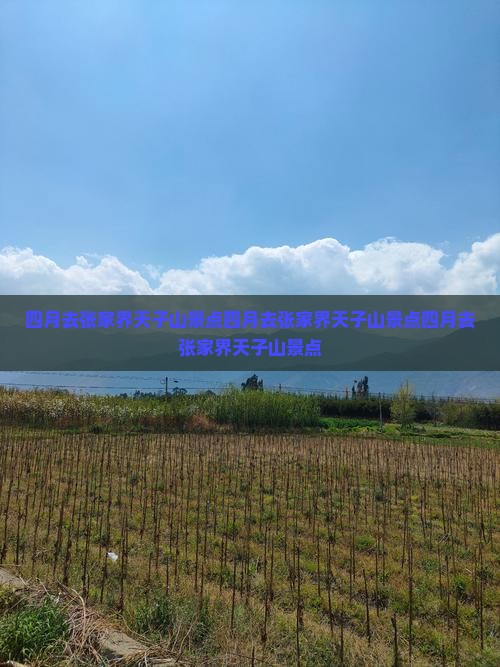 四月去张家界天子山景点