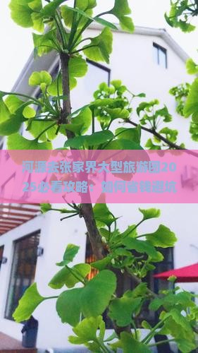 河源去张家界大型旅游团