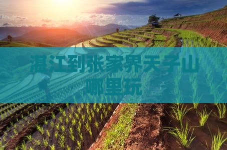 湛江到张家界天子山哪里玩