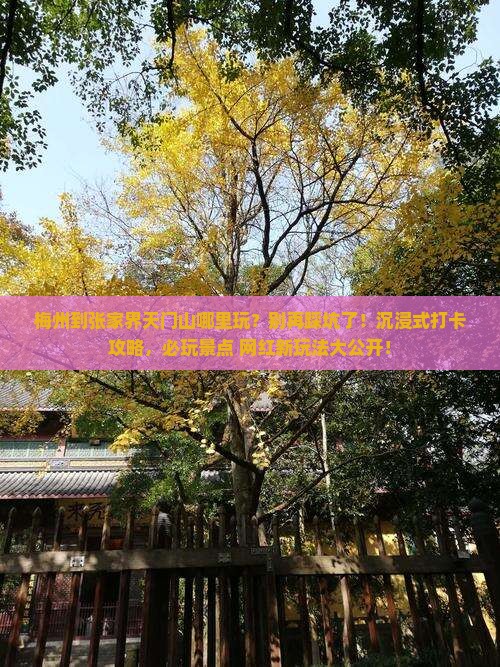 梅州到张家界天门山哪里玩
