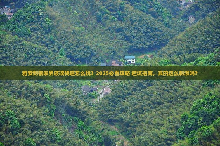 雅安到张家界玻璃栈道旅行社