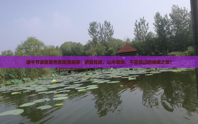 端午节去张家界武陵源旅游