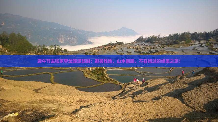端午节去张家界武陵源旅游