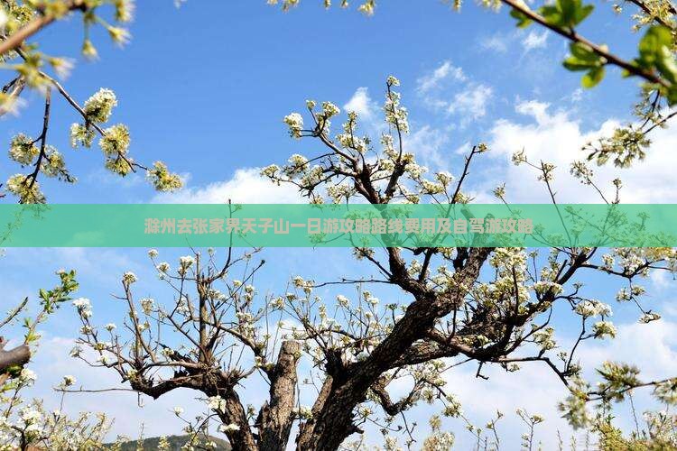 滁州去张家界天子山一日