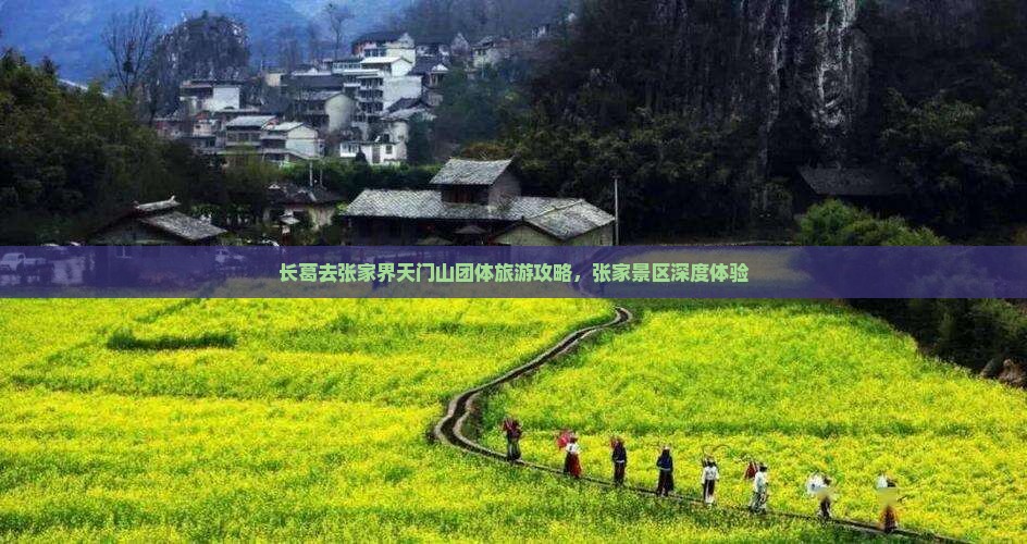 长葛去张家界天门山团体旅游