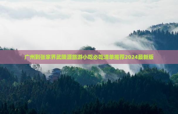 广州到张家界武陵源旅游小吃
