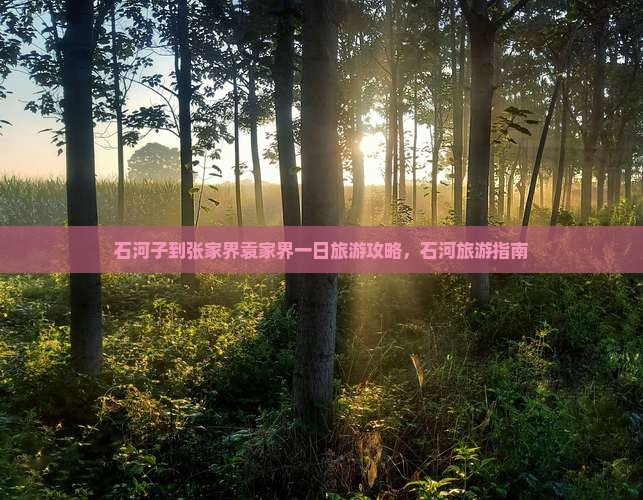 石河子到张家界袁家界一日