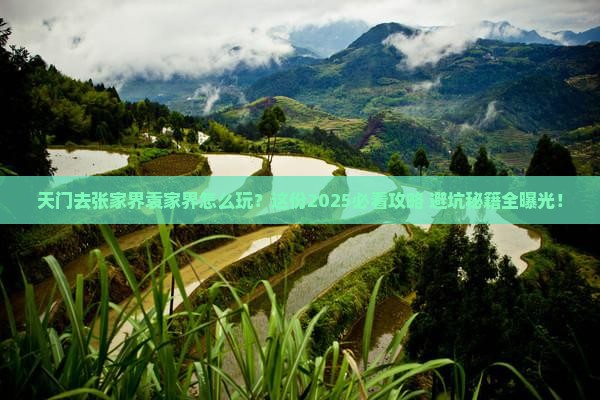 天门去张家界袁家界哪里玩