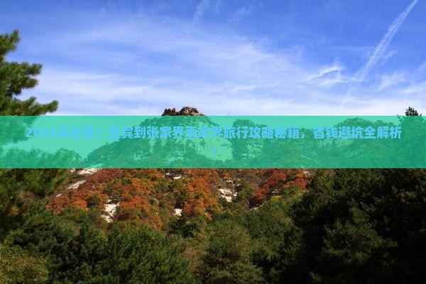 宜宾到张家界袁家界旅行社