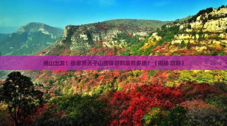 佛山到张家界天子山团体旅游