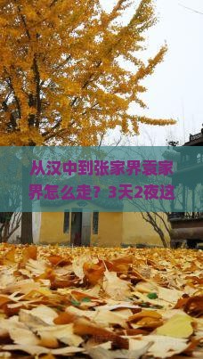 汉中去张家界袁家界景点