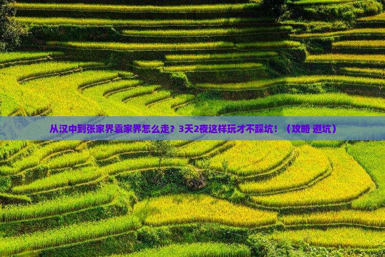汉中去张家界袁家界景点