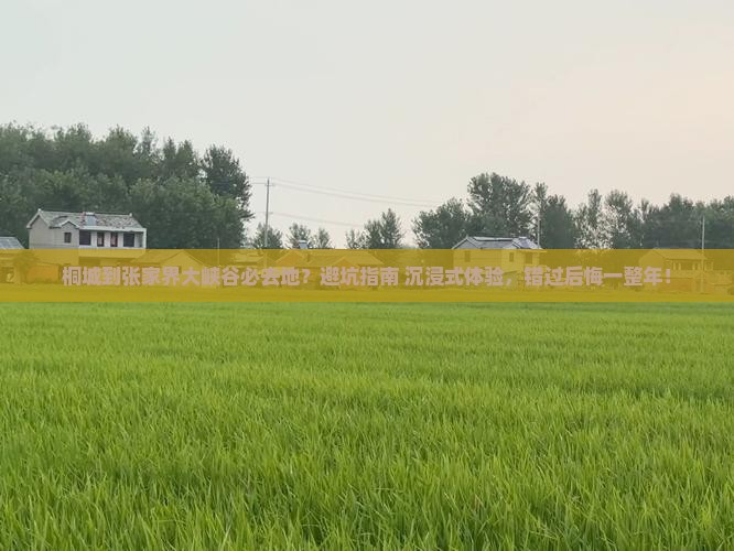 桐城到张家界大峡谷必去地