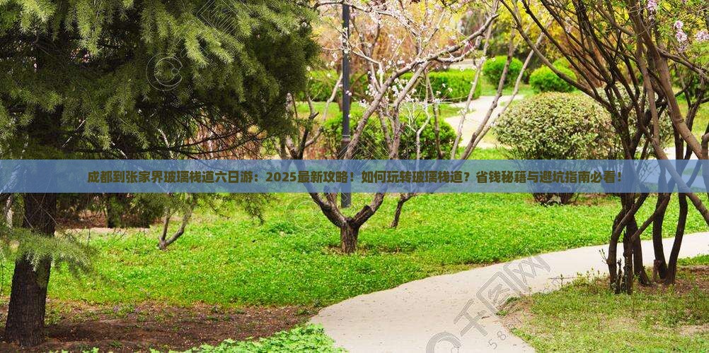 成都到张家界玻璃栈道六日游