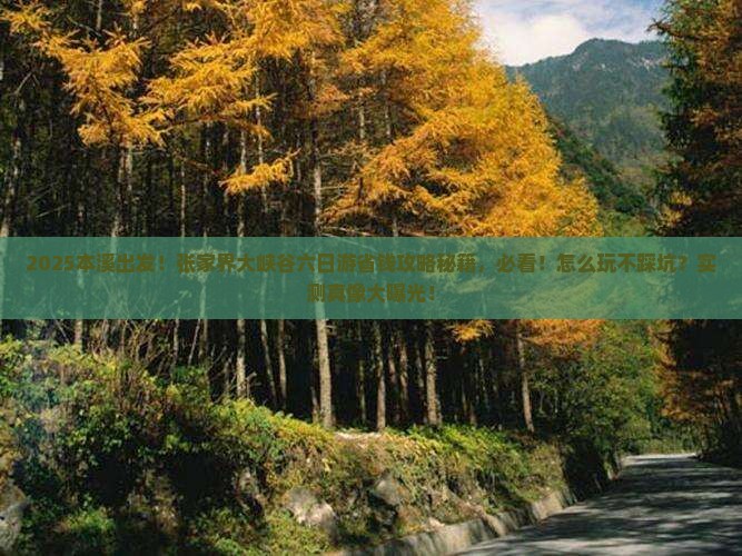 本溪到张家界大峡谷六日游