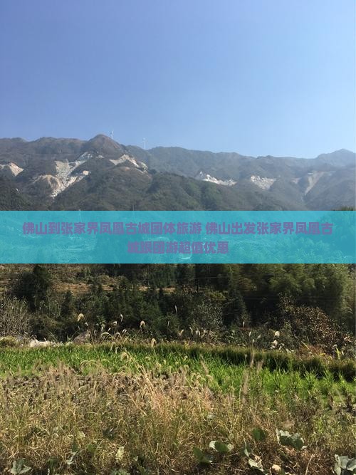 佛山到张家界凤凰古城团体旅游