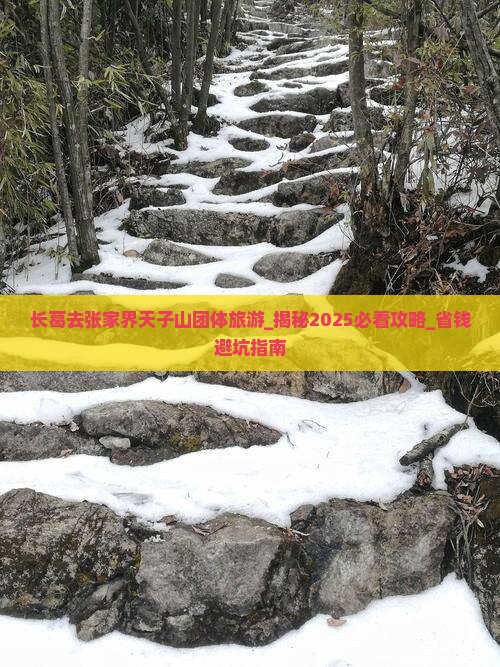长葛去张家界天子山团体旅游