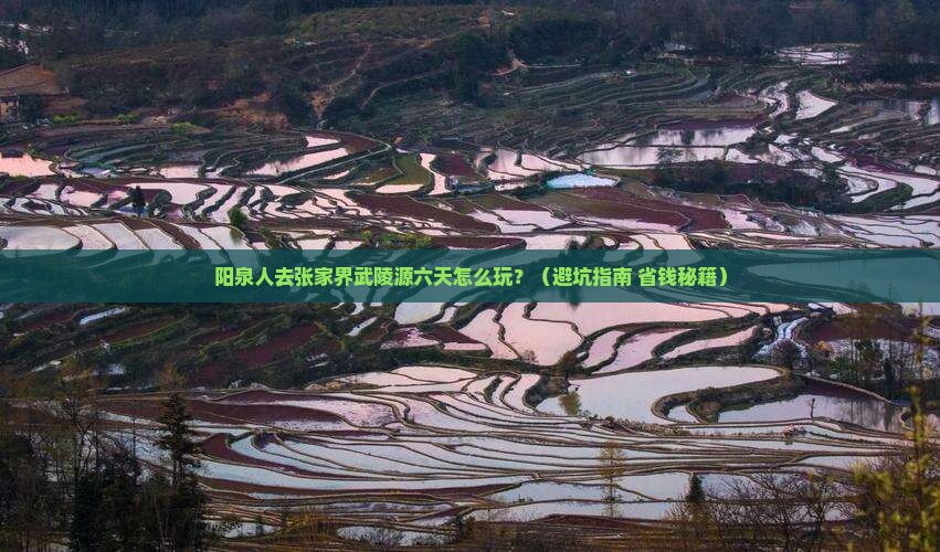 阳泉去张家界武陵源六日游