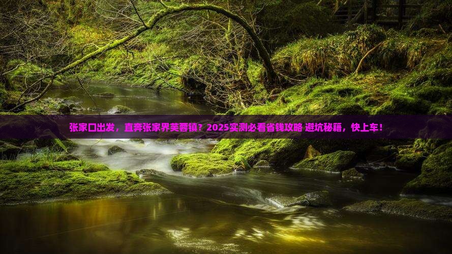 张家口到张家界芙蓉镇攻略