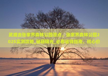 武威去张家界森林公园景点