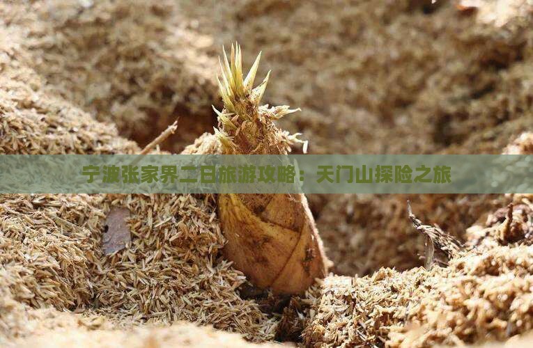 宁波去张家界天门山二日游