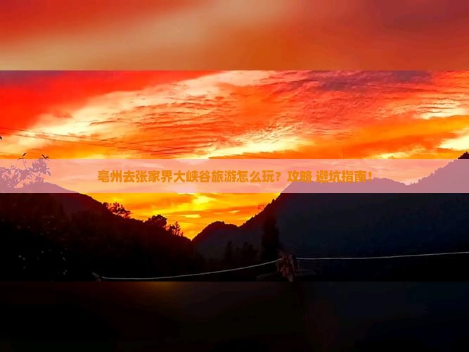 亳州去张家界大峡谷旅游 亳州去张家界大峡谷旅游