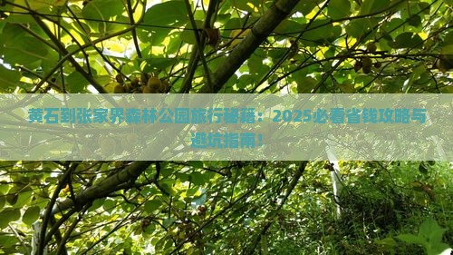 黄石到张家界森林公园旅行社 黄石到张家界森林公园旅行社