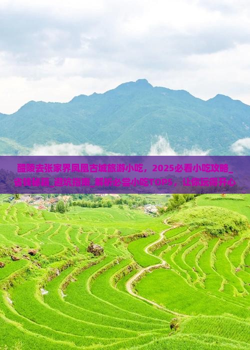醴陵去张家界凤凰古城旅游小吃