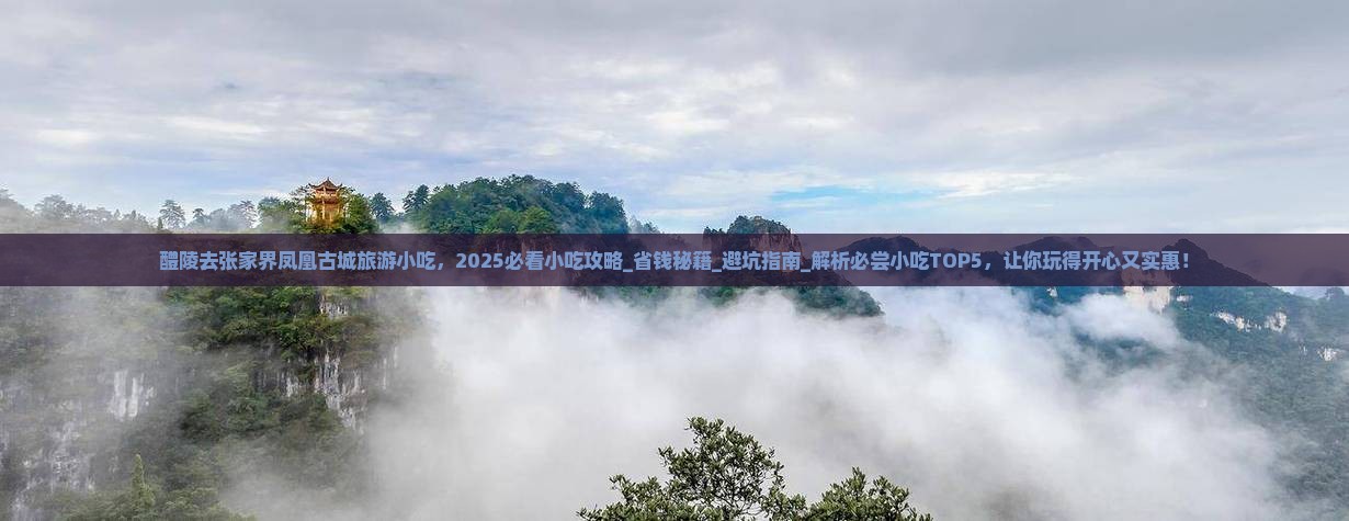 醴陵去张家界凤凰古城旅游小吃
