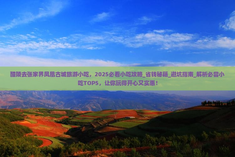 醴陵去张家界凤凰古城旅游小吃
