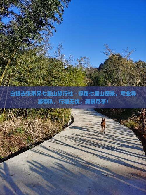 白银去张家界七星山旅行社