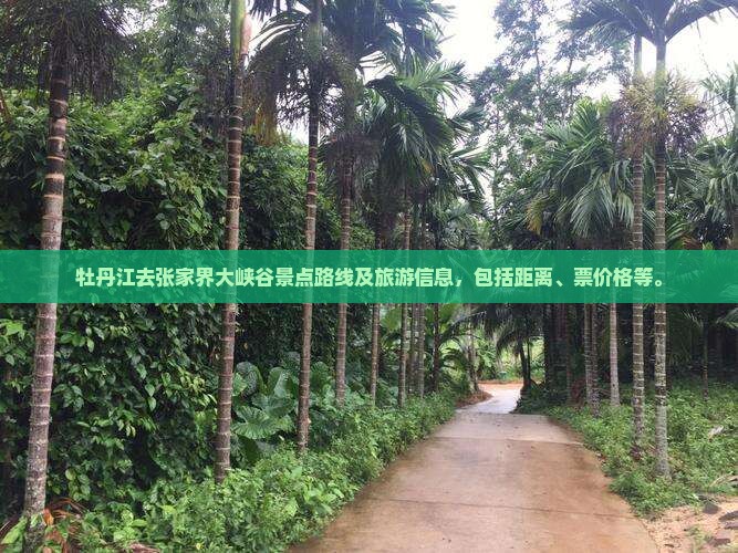 牡丹江去张家界大峡谷景点