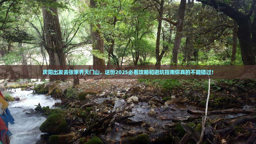 庆阳到张家界天门山旅行社