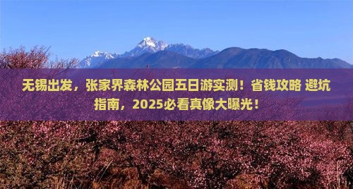 无锡到张家界森林公园五日游