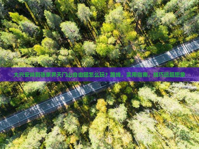大兴安岭到张家界天门山自由团