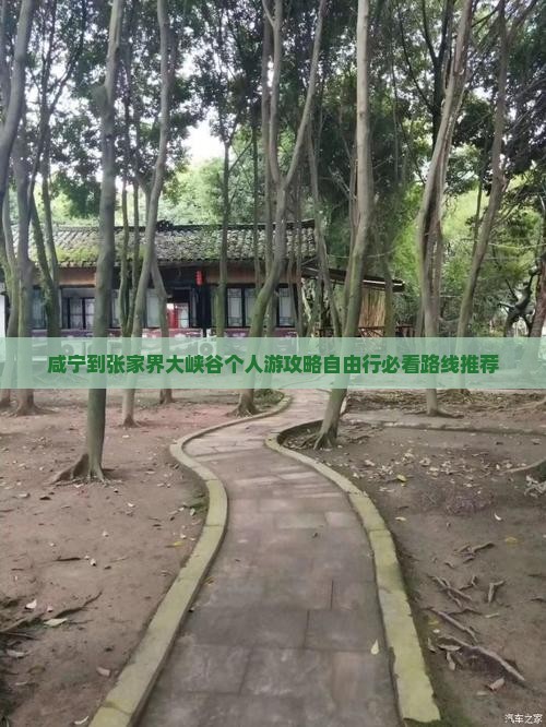 咸宁到张家界大峡谷个人游