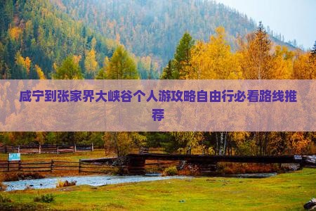 咸宁到张家界大峡谷个人游