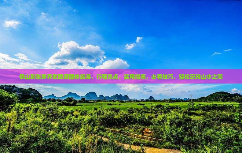 保山到张家界武陵源团体旅游