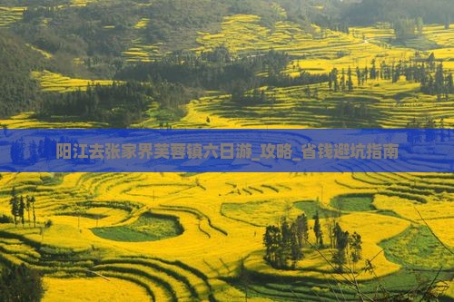 阳江去张家界芙蓉镇六日游 阳江去张家界芙蓉镇六日游