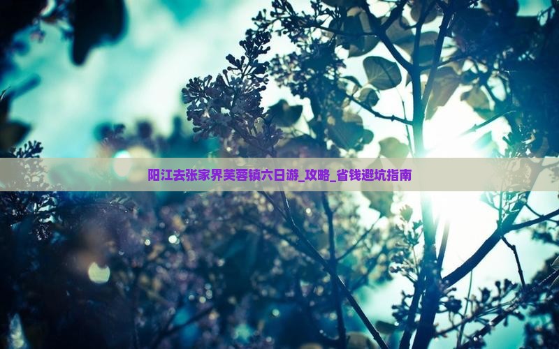 阳江去张家界芙蓉镇六日游 阳江去张家界芙蓉镇六日游
