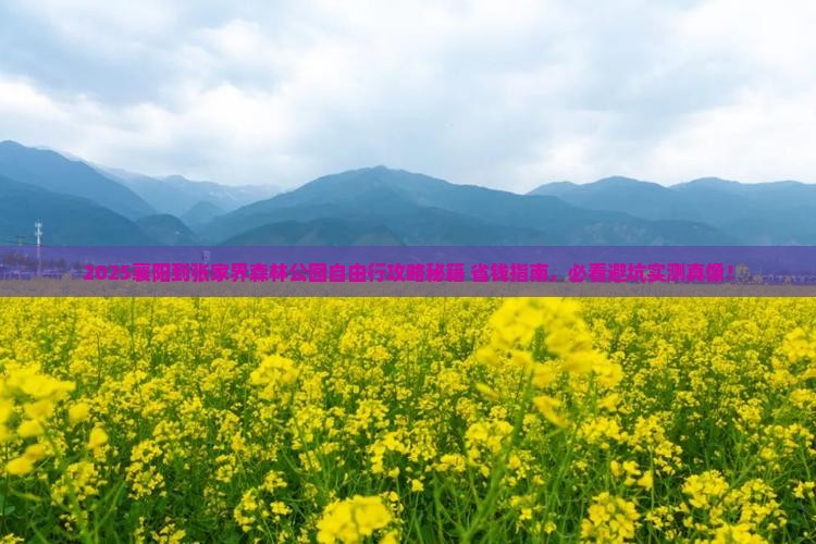 襄阳到张家界森林公园自由团