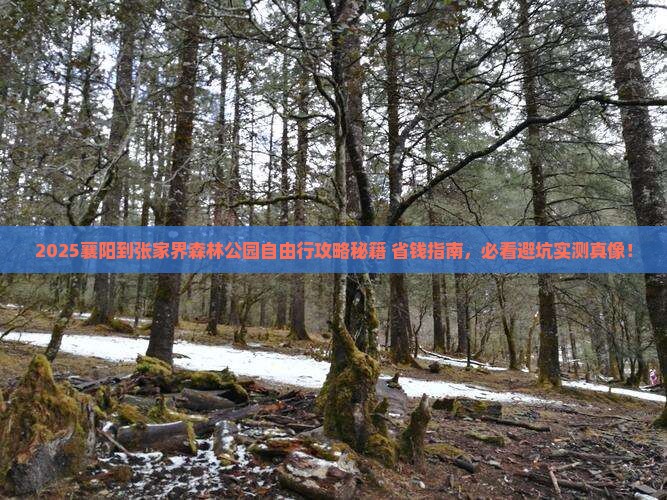 襄阳到张家界森林公园自由团