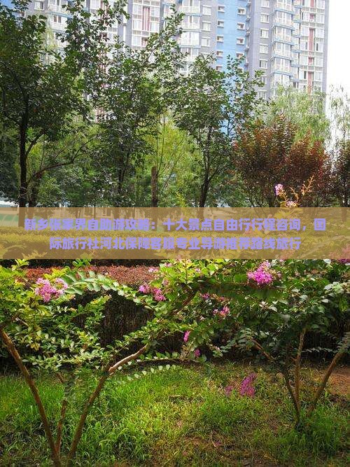 新乡去张家界旅游