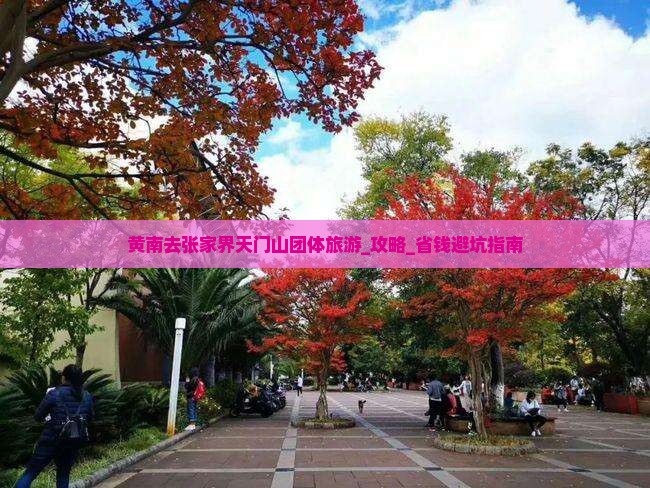 黄南去张家界天门山团体旅游
